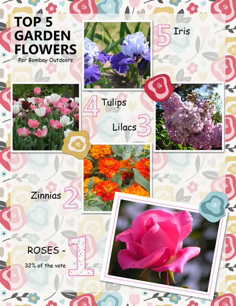 Top 5 Garden Flowers