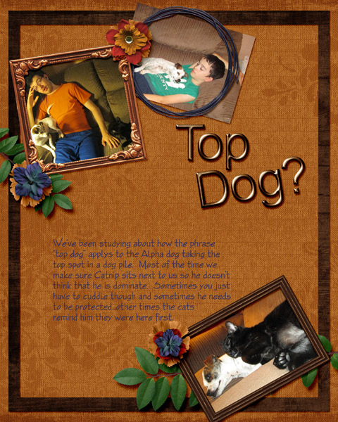 Top Dog