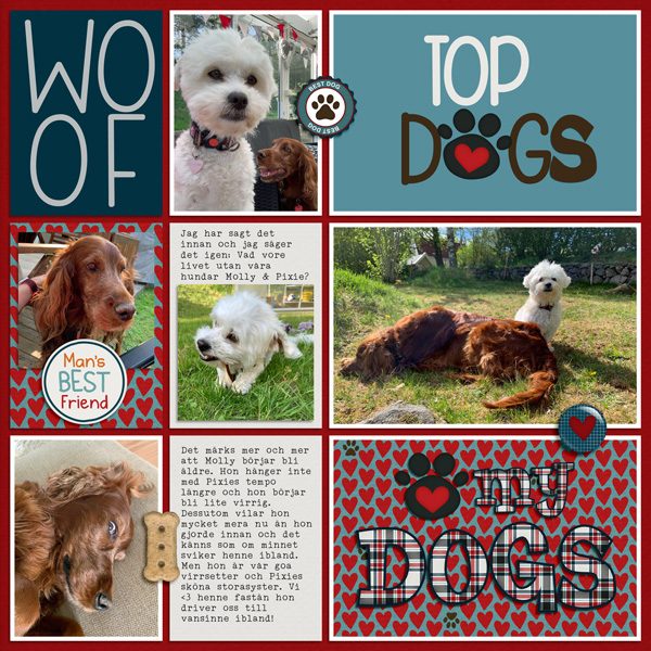 Top Dogs