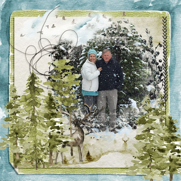 Top of the Mountain