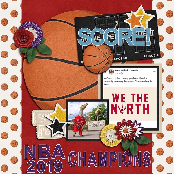 Toronto Raptors NBA 2019 Champions