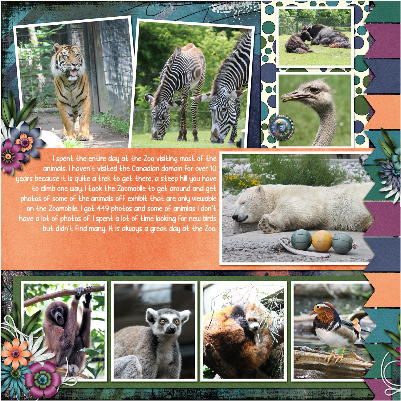 Toronto Zoo L