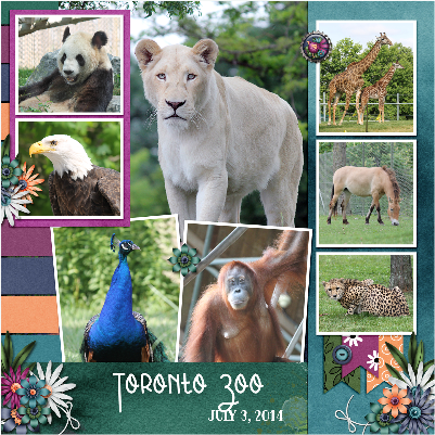 Toronto Zoo R