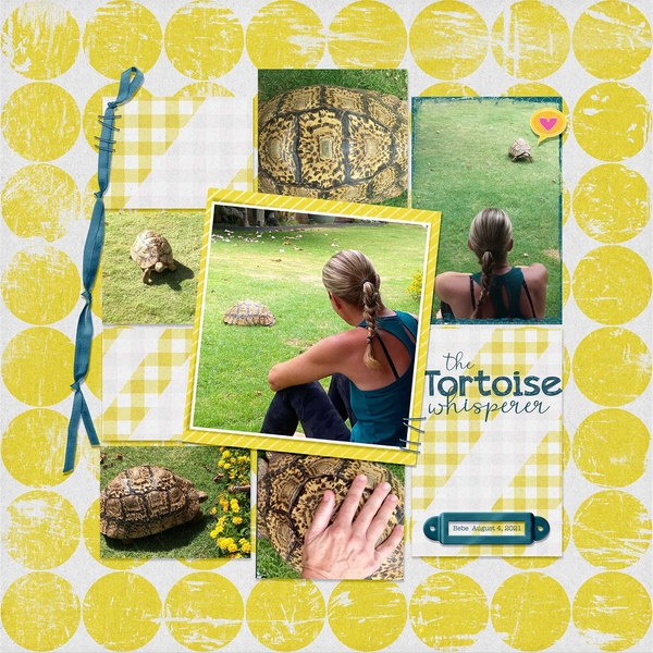 Tortoise Whisperer