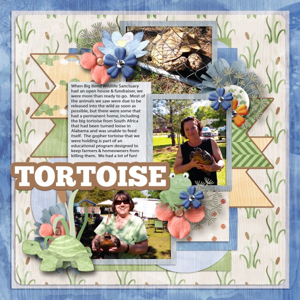 Tortoise