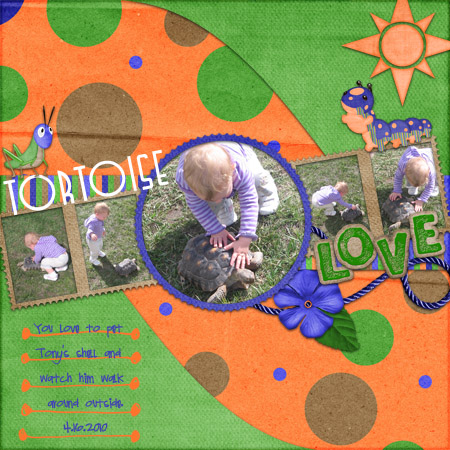 tortoiselovegallery
