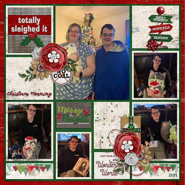 Totally Sleighed It