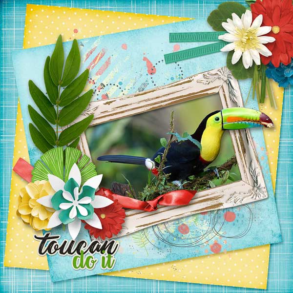 Toucan Do It
