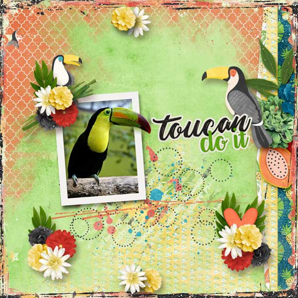 Toucan Do It