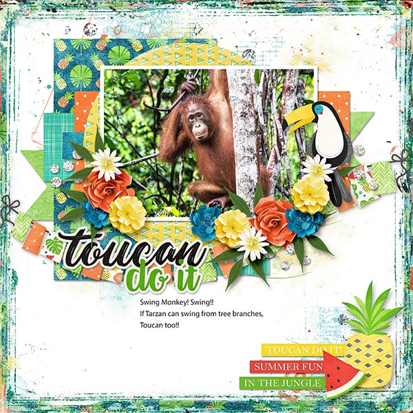 TOUCAN DO IT