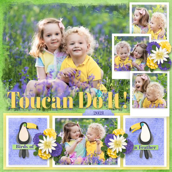 Toucan