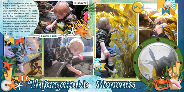 Touch Pools and Kelp Forest