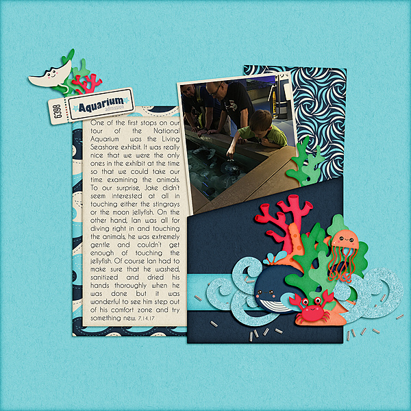 Touch Tank