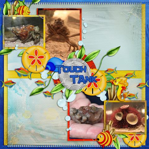 Touch Tank