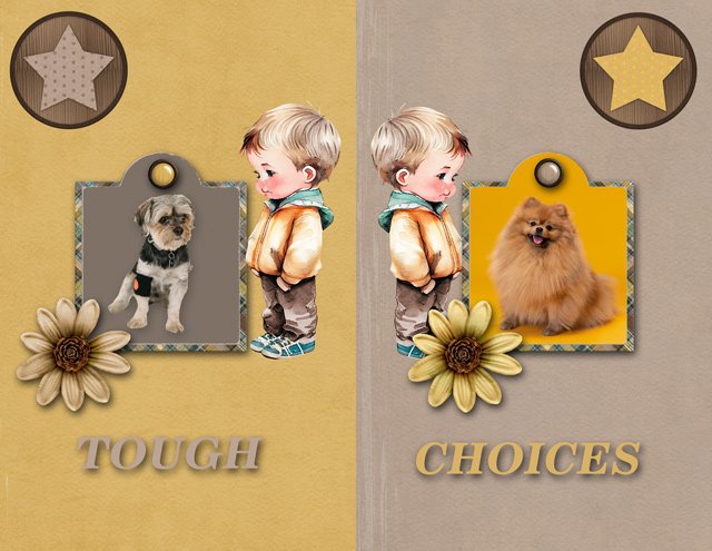 TOUGH CHOICES