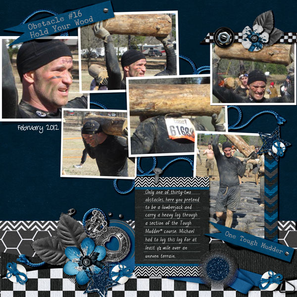ToughMudder_Obstacle16