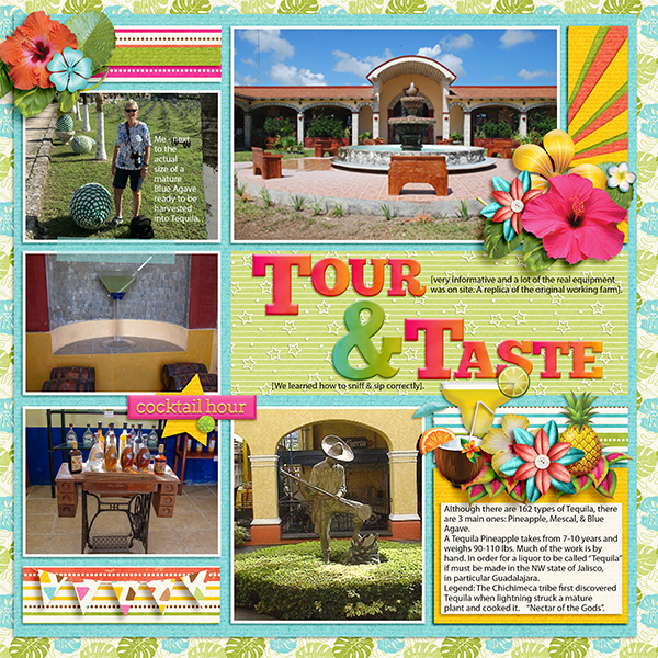Tour and Taste