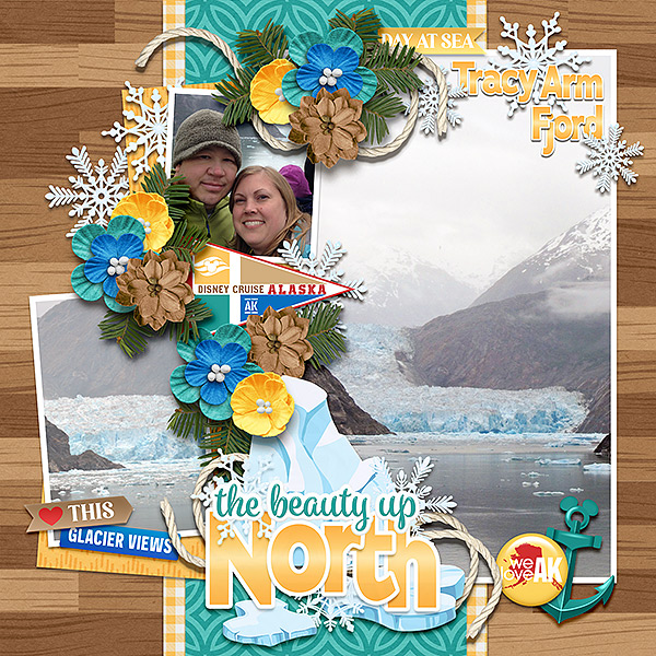 Tracy Arm fjord