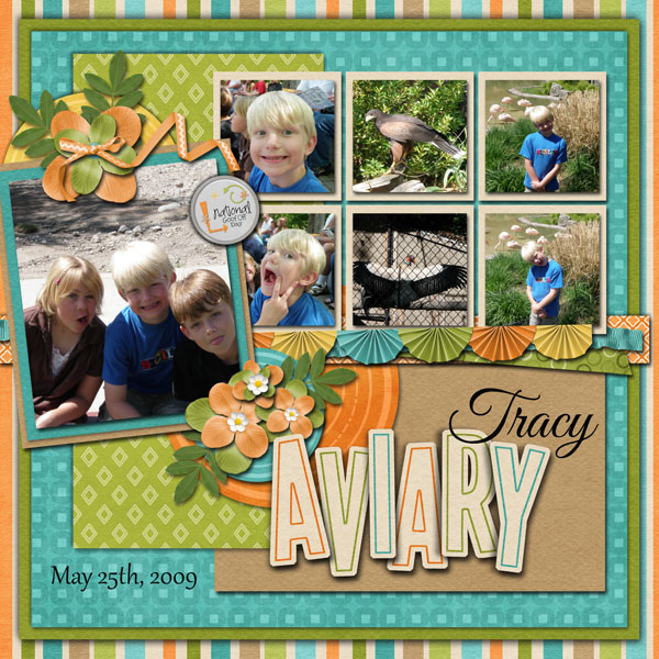 tracy aviary