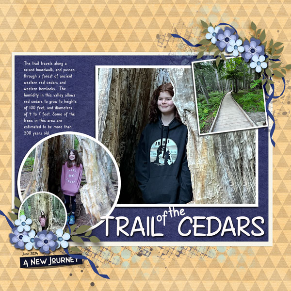 Trail of the Cedars