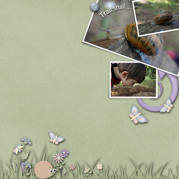 trail snail
