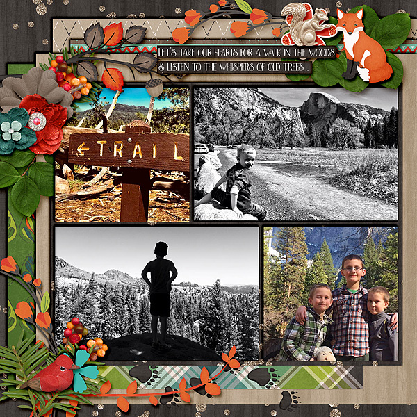 Trail