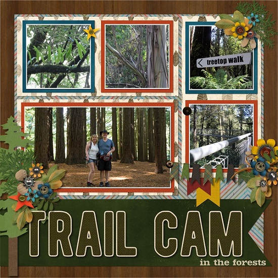 trail_cam