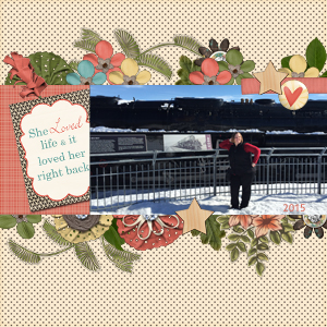 Train 2015