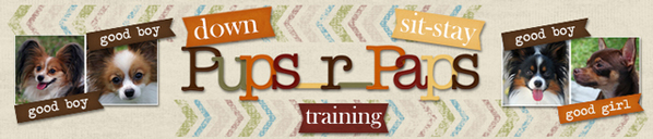 Train Your Dog Siggy