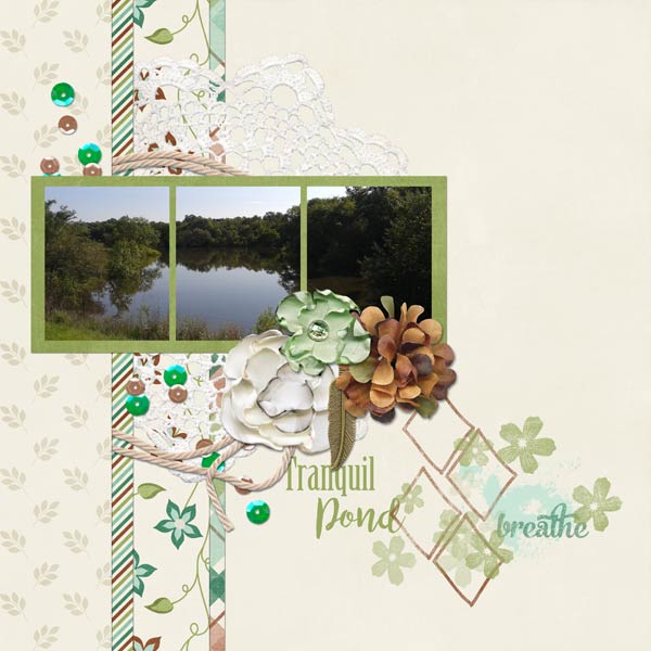 Tranquil Pond