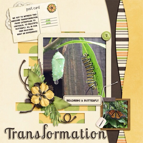 Transform