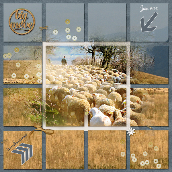 Transhumance