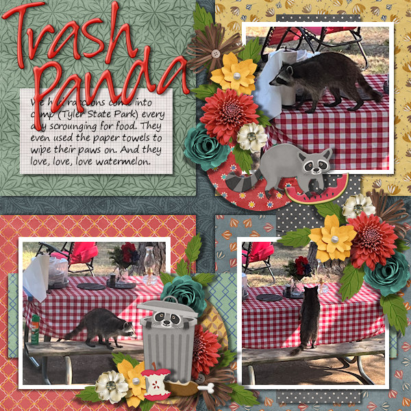 Trash Panda
