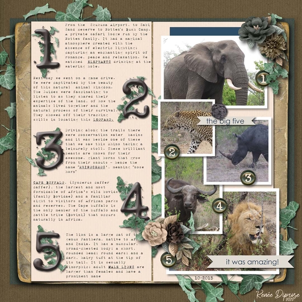 Travel Notes - Big Five