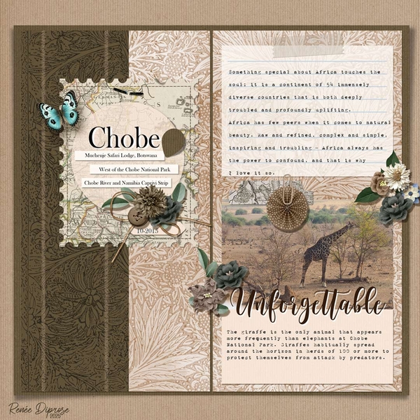 Travel Notes - Chobe