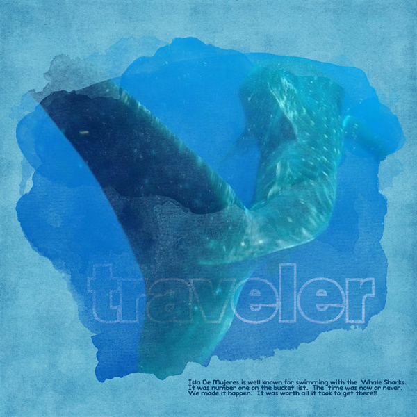 traveler