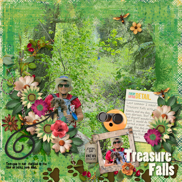 Treasure Falls