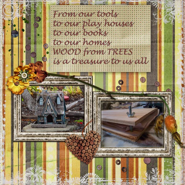 Treasure Our Trees
