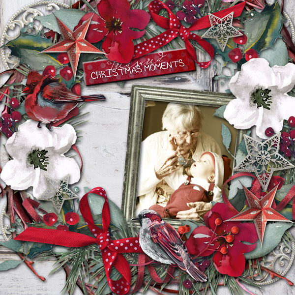 Treasured Christmas Moments