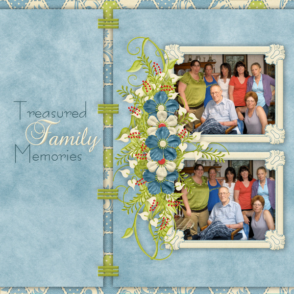 Treasured Family Memories