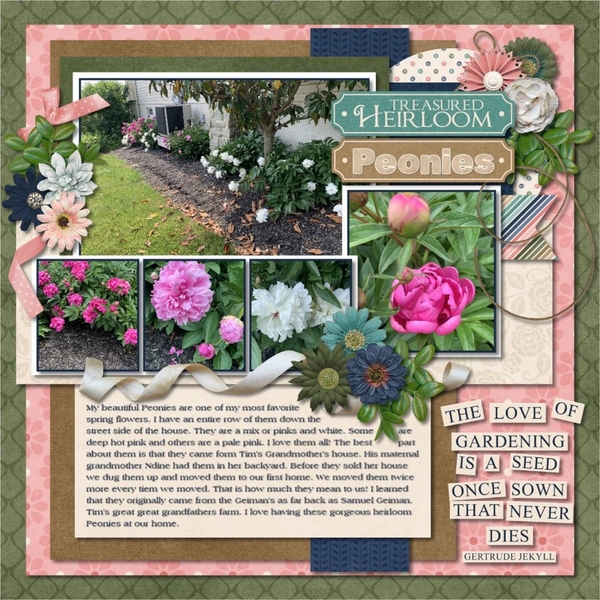 Treasured Heirloom Peonies