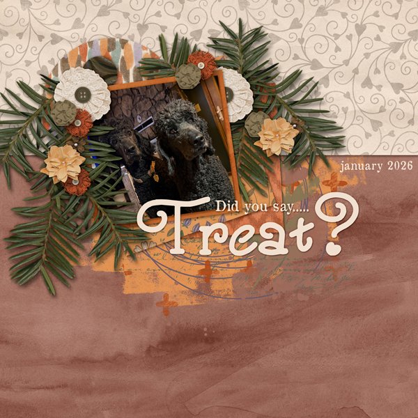 Treat