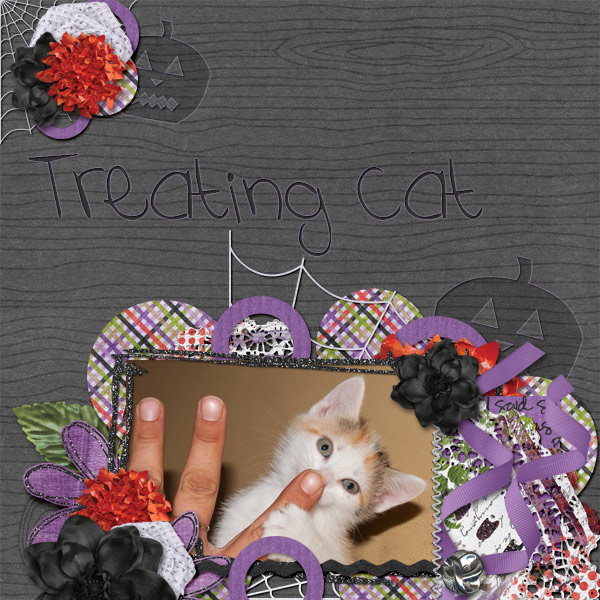 Treating cat