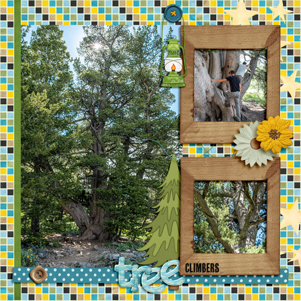 Tree Climbers