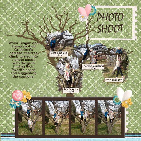 Tree climbing photo shoot