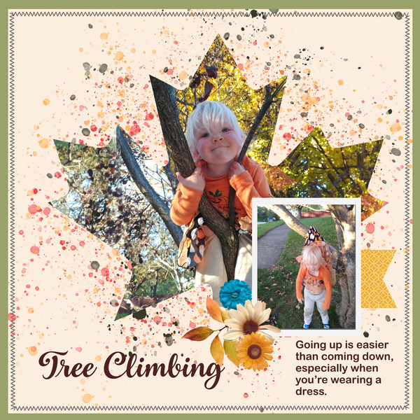 Tree Climbing