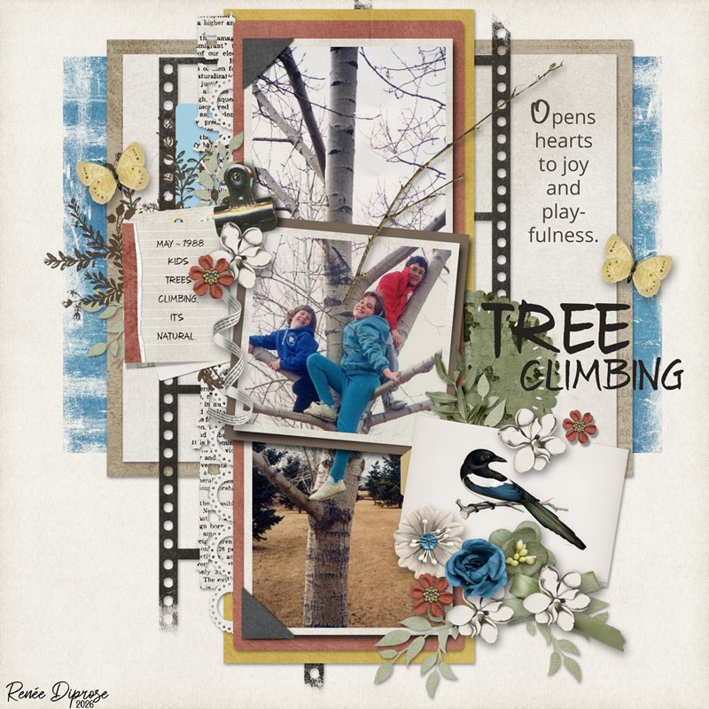 Tree Climbing