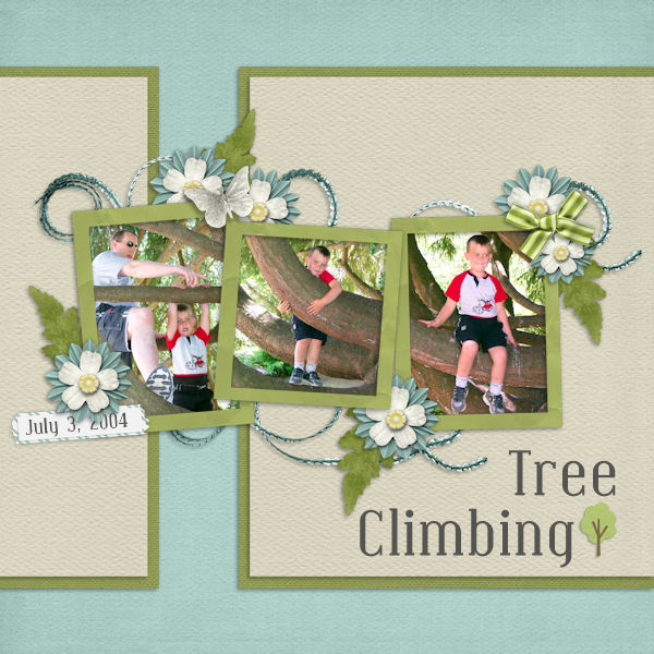 Tree Climbing