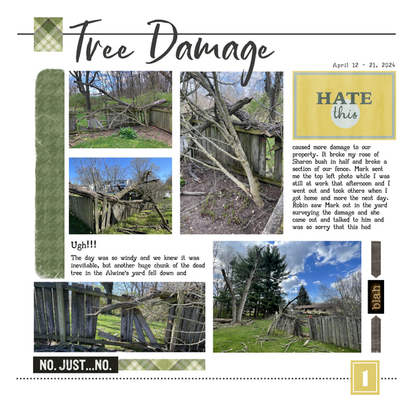 Tree Damage 4-12-24 Page 1