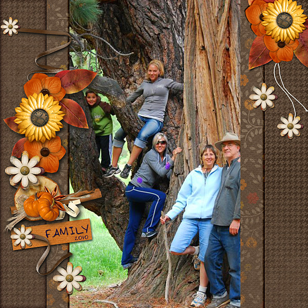 Tree Family